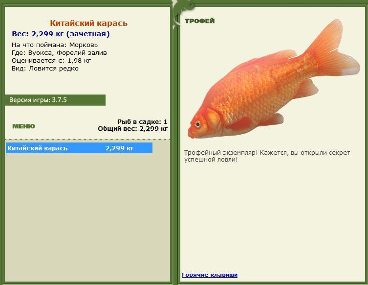 Китайский карась 