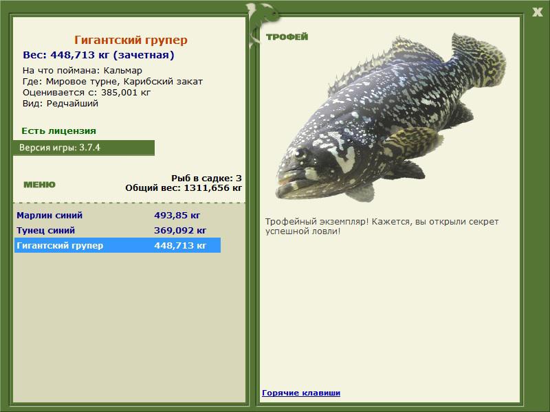 Карибский закат 