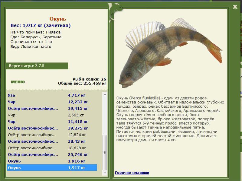 РУССКАЯ РЫБАЛКА Installsoft Edition 