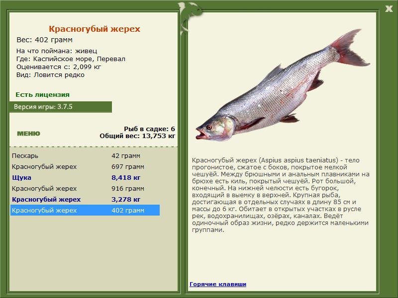РУССКАЯ РЫБАЛКА Installsoft Edition 