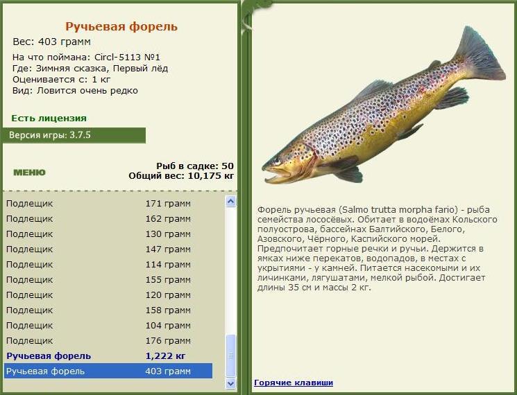 Первый лёд 