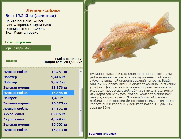 РУССКАЯ РЫБАЛКА Installsoft Edition 