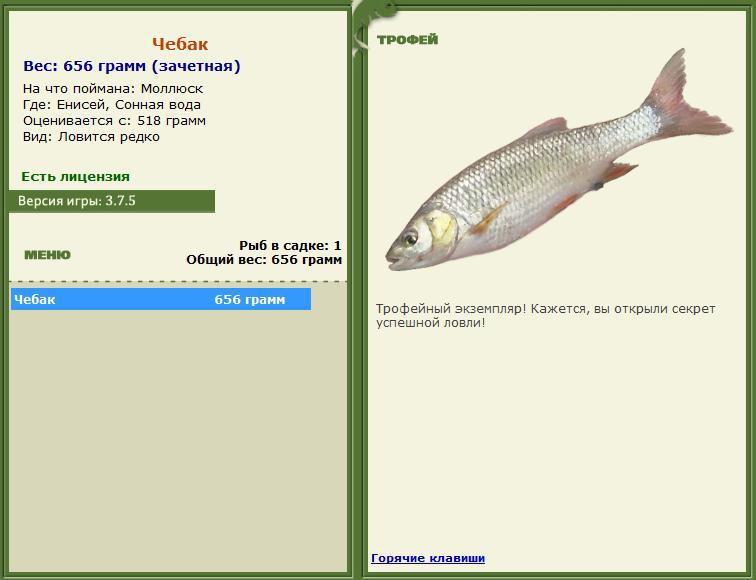Реальная рыбалка чебак на что ловить