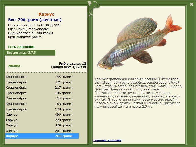 Мелководье 