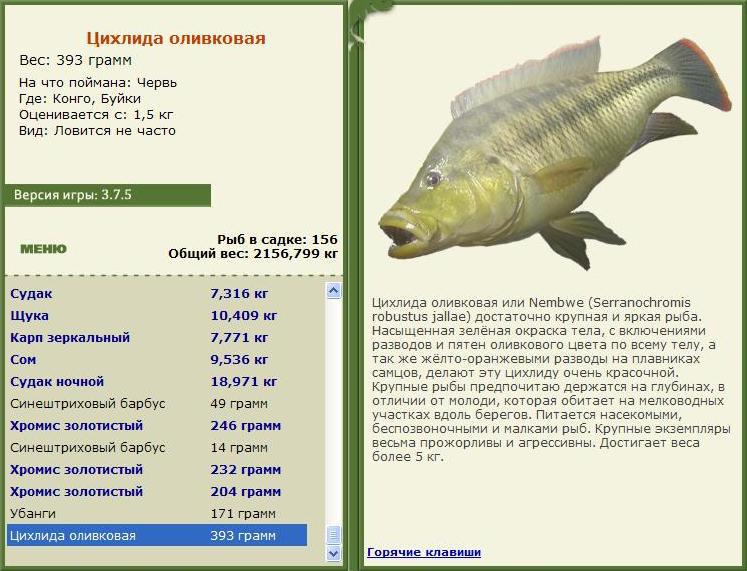 Буйки 