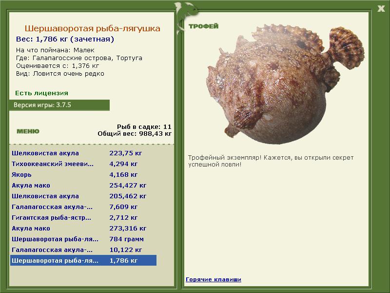 лягушка • Рыбы • РУССКАЯ РЫБАЛКА