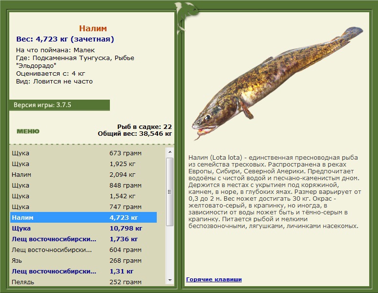 Рыбье \\