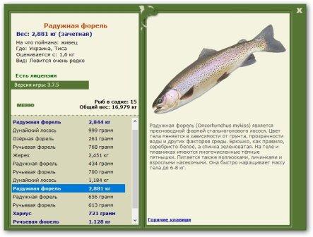 Тиса 