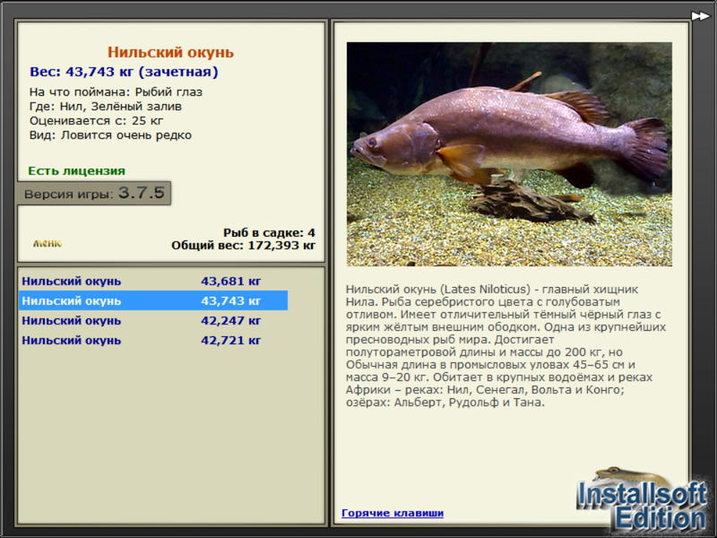 Зелёный залив 