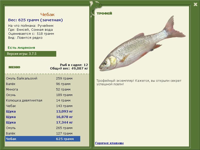 Чебак 