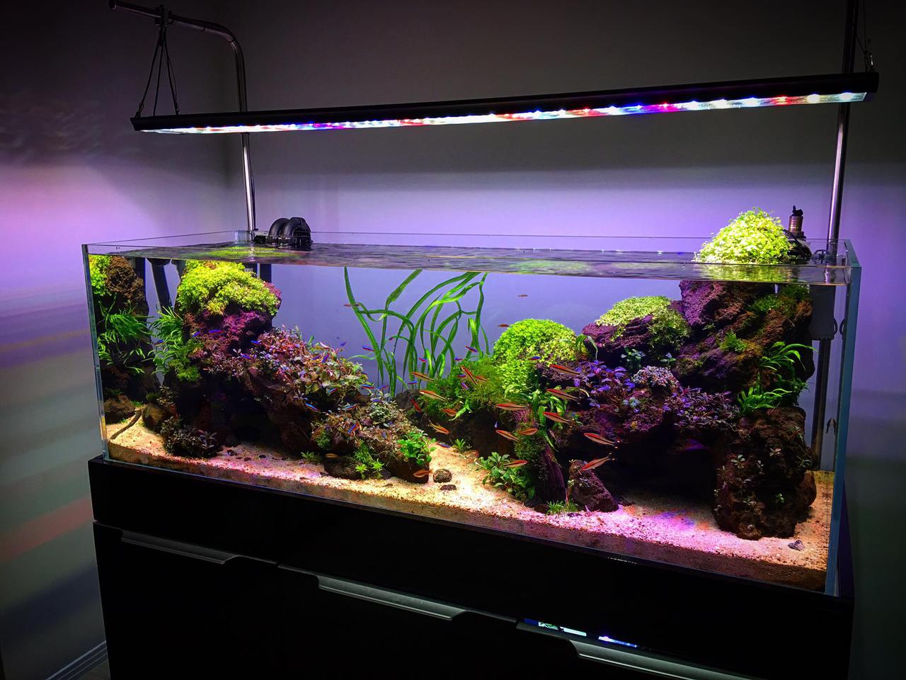 аквариумный дизайн фото пошагово в домашних условиях
