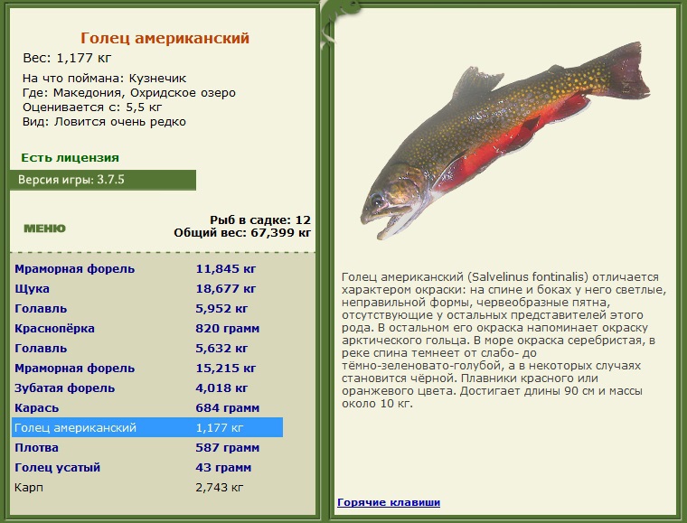 РУССКАЯ РЫБАЛКА Installsoft Edition 