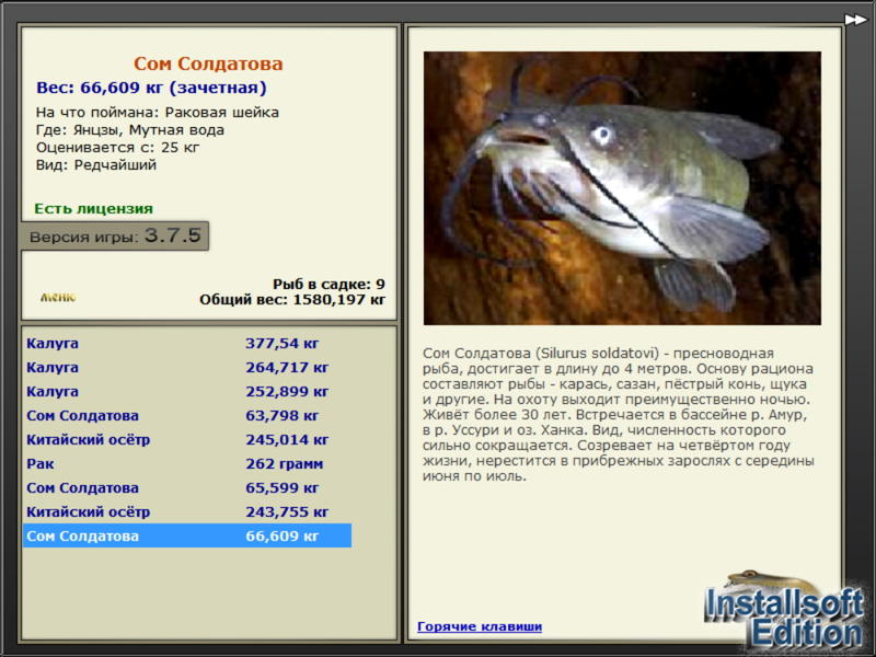 турниры • РУССКАЯ РЫБАЛКА