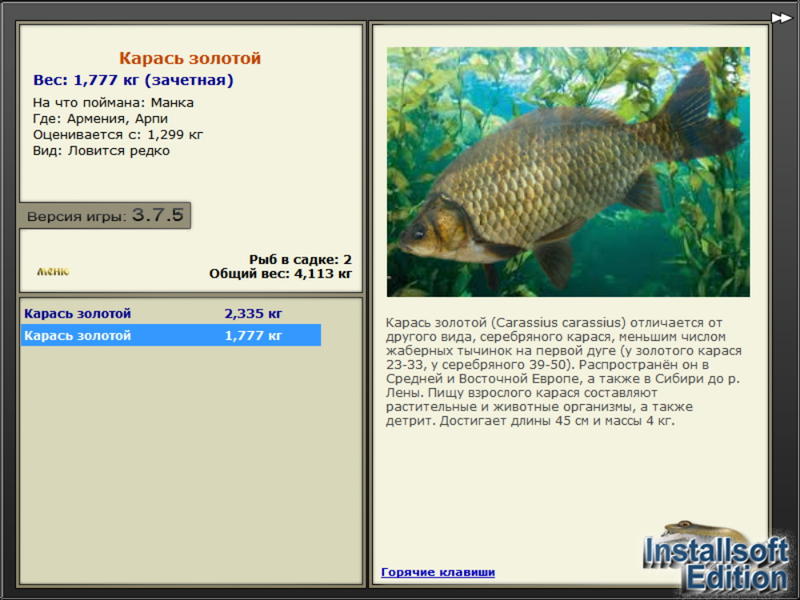 турниры • РУССКАЯ РЫБАЛКА