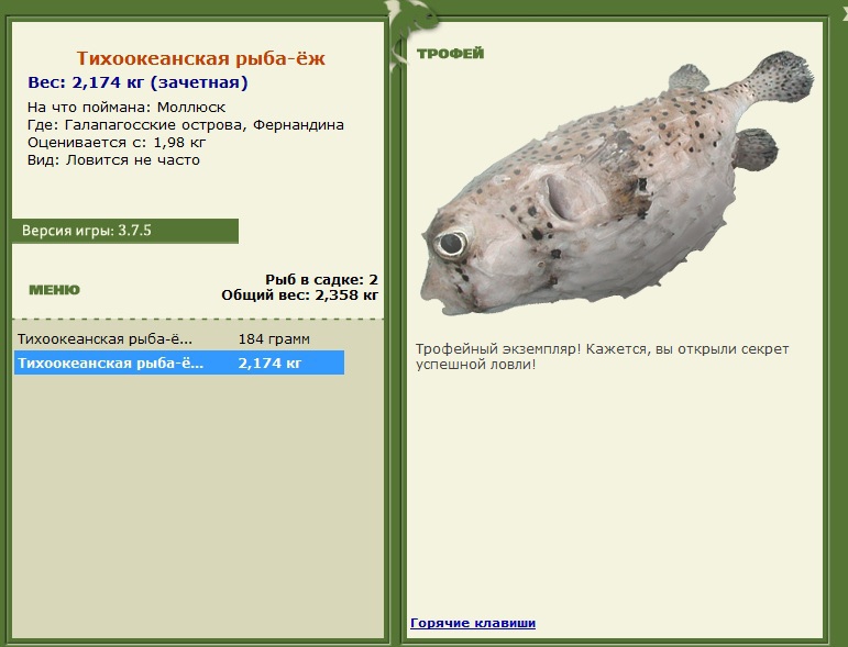 ёж • Рыбы • РУССКАЯ РЫБАЛКА