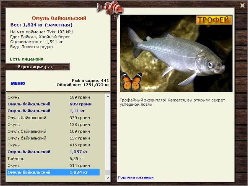 Омуль Байкальский 