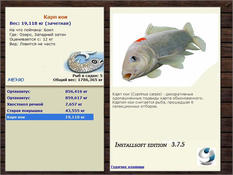 Западный затон 