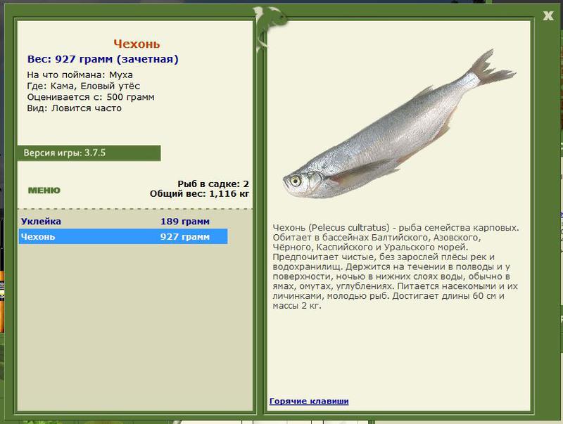 РУССКАЯ РЫБАЛКА Installsoft Edition 