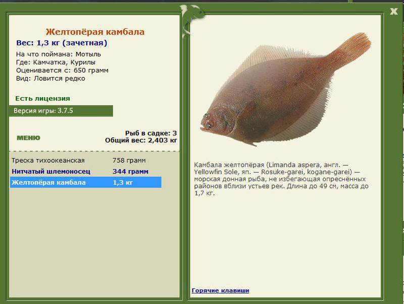 РУССКАЯ РЫБАЛКА Installsoft Edition 