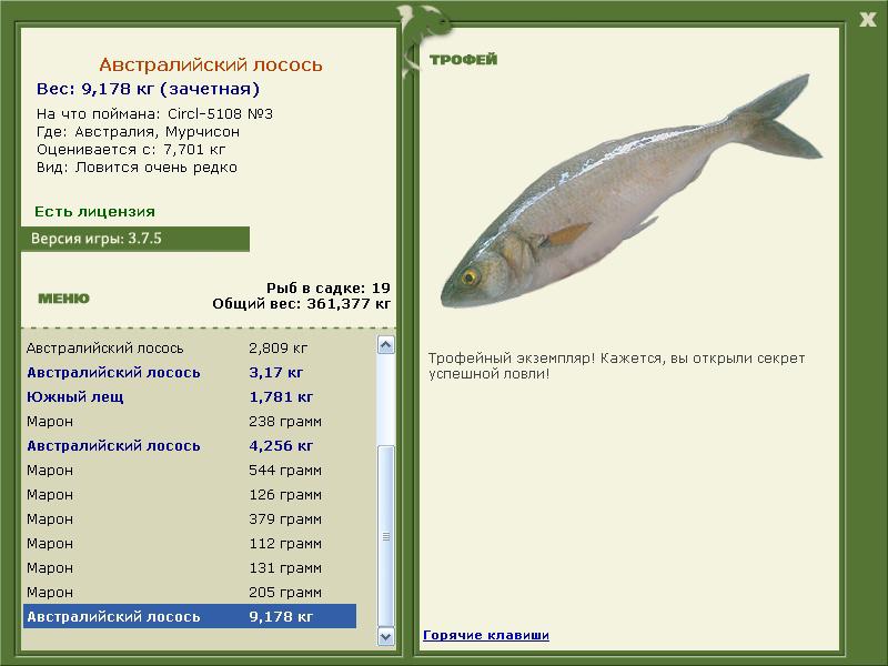 Австралийский лосось 