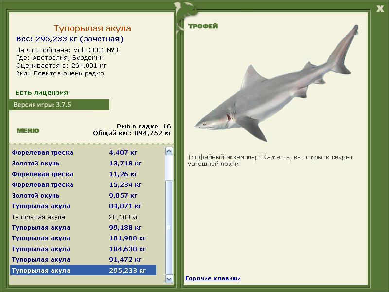 Тупорылая акула 