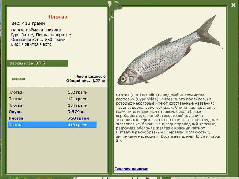 РУССКАЯ РЫБАЛКА Installsoft Edition 