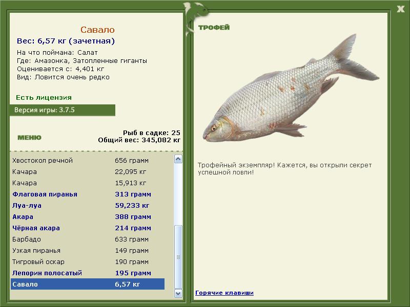 Савало 