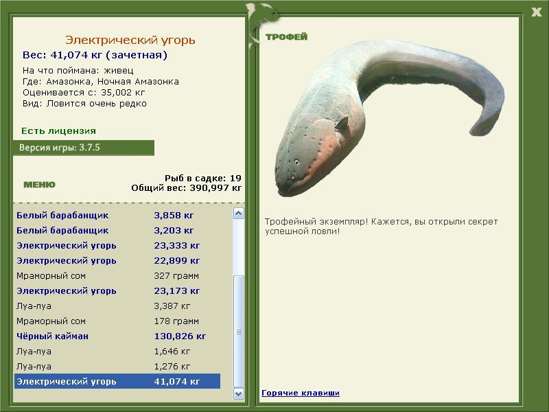 Электрический угорь 