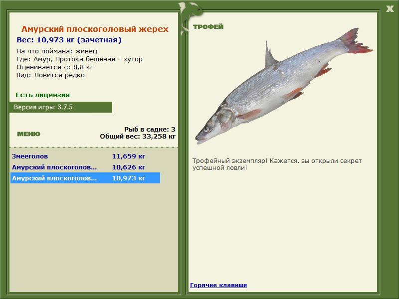 РУССКАЯ РЫБАЛКА Installsoft Edition 