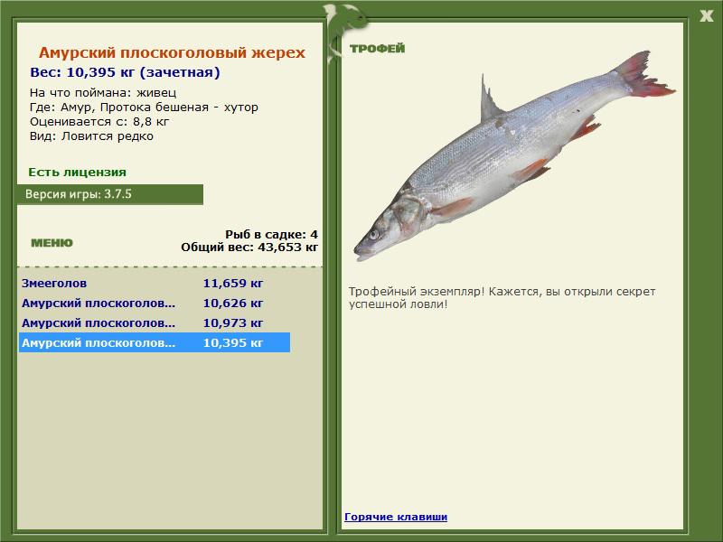 РУССКАЯ РЫБАЛКА Installsoft Edition 