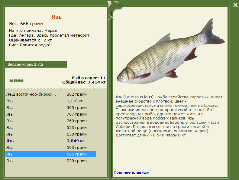 турниры • РУССКАЯ РЫБАЛКА