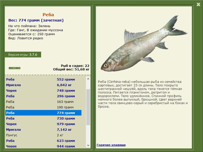 РУССКАЯ РЫБАЛКА Installsoft Edition 
