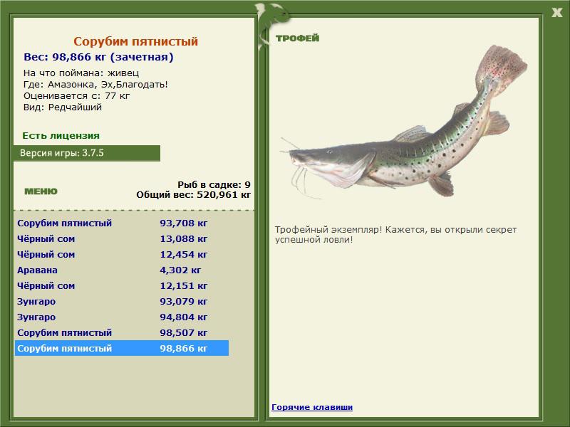 Эх, Благодать! 