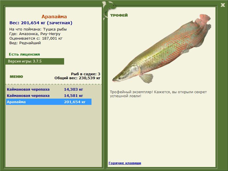 Негру • Амазонка • РУССКАЯ РЫБАЛКА