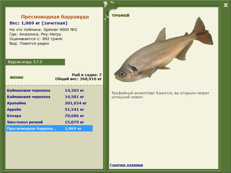 Негру • Амазонка • РУССКАЯ РЫБАЛКА