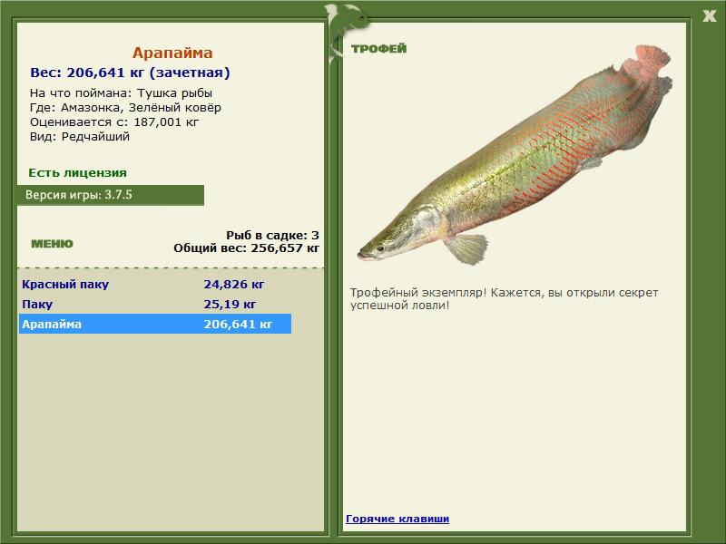 Реальная рыбалка рыбхоз на что ловить арапайма