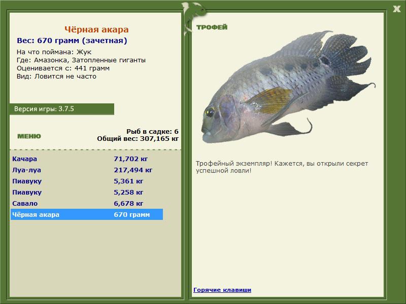Затопленные гиганты 