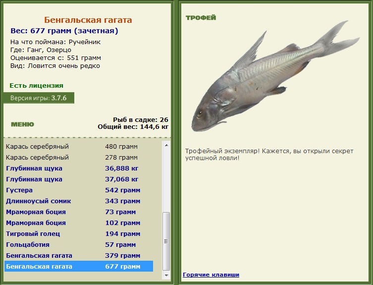 Бенгальская гагата 