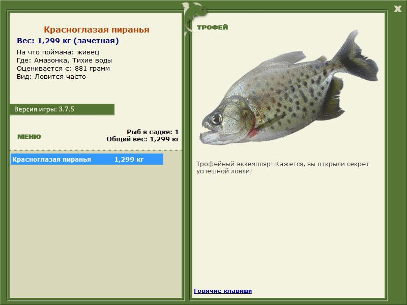 Тихие воды 