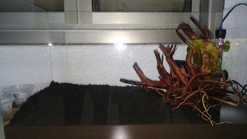  Начать новую тему