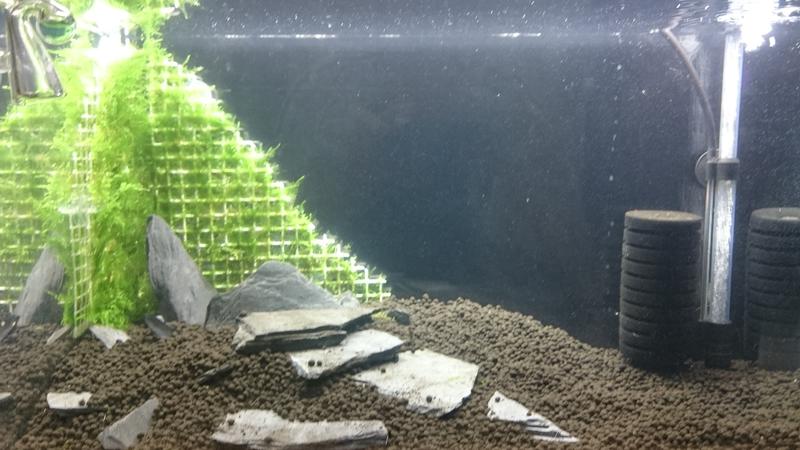  Начать новую тему