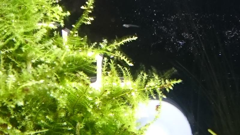  Начать новую тему