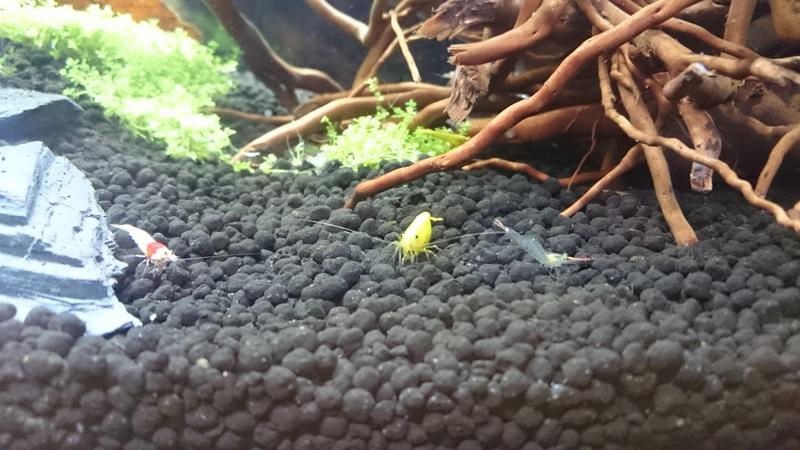  Начать новую тему