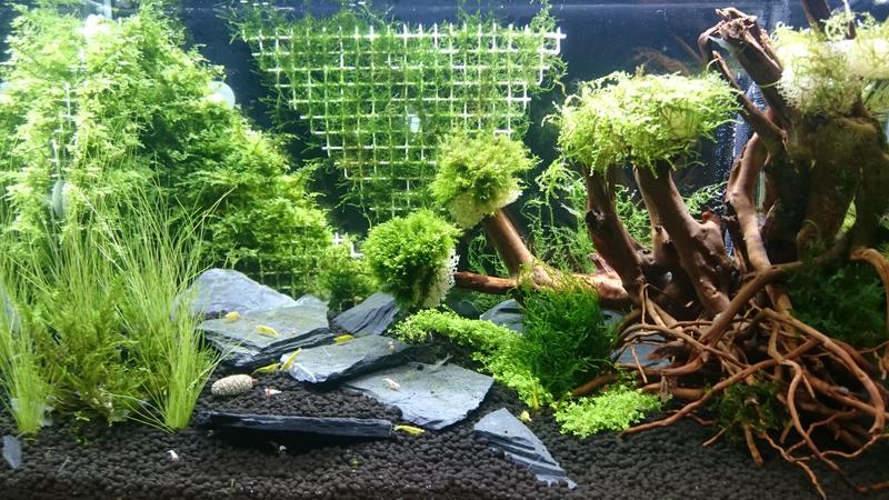  Начать новую тему