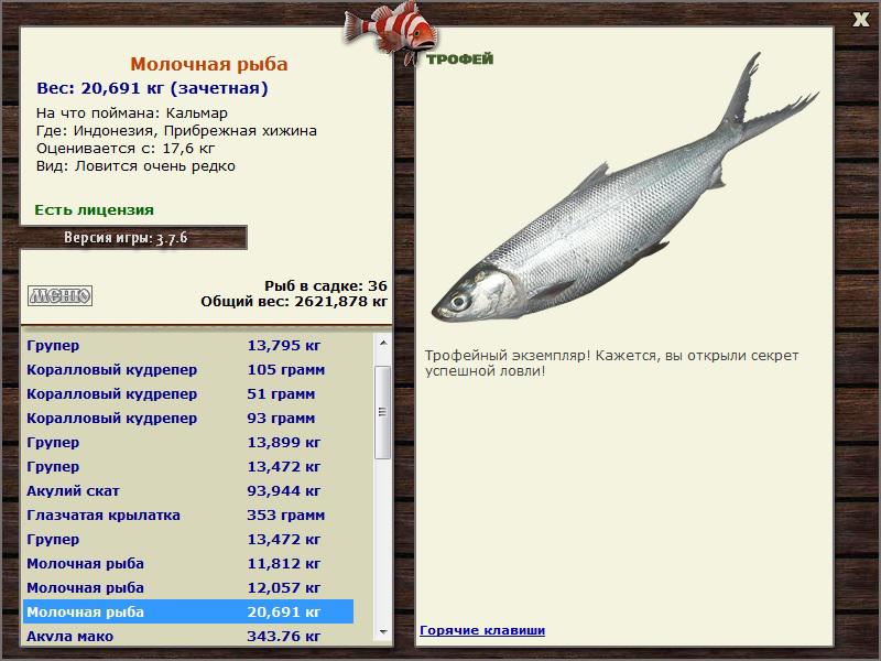 Кальмар 