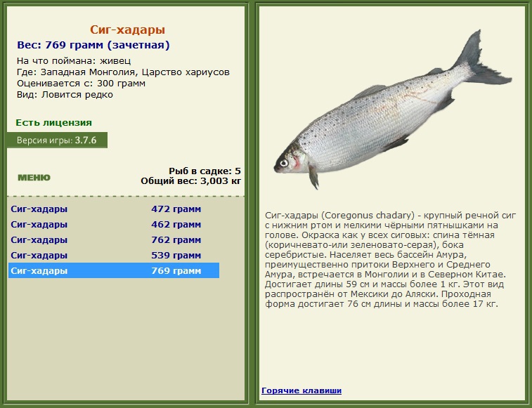 РУССКАЯ РЫБАЛКА Installsoft Edition 