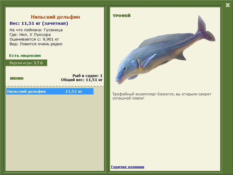 У Луксора 