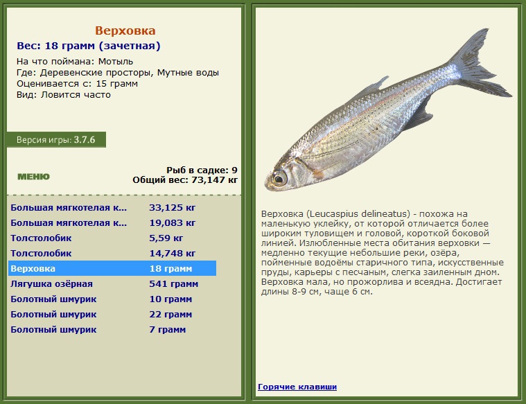РУССКАЯ РЫБАЛКА Installsoft Edition 