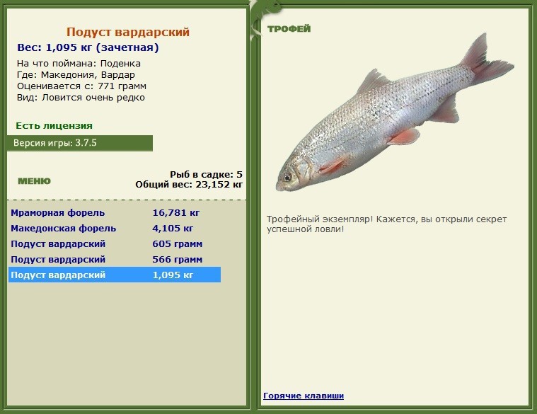 Подёнка 