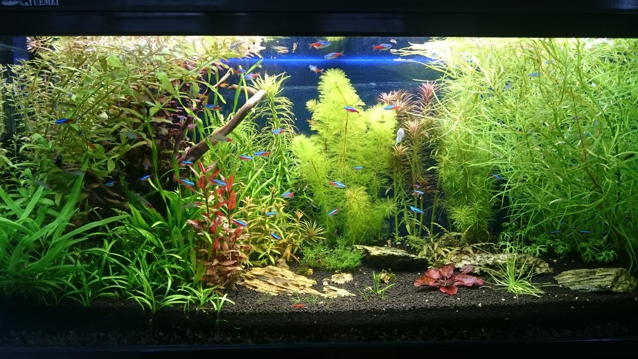  Начать новую тему